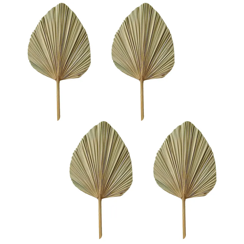 ใบปาล์มแห้ง 4 ชิ้น สำหรับตกแต่งงานแต่งงาน งานปาร์ตี้ ใบปาล์มสดใส รูปทรงพัด สำหรับจัดดอกไม้ ของตกแต่ง ใบไม้เขตร้อน