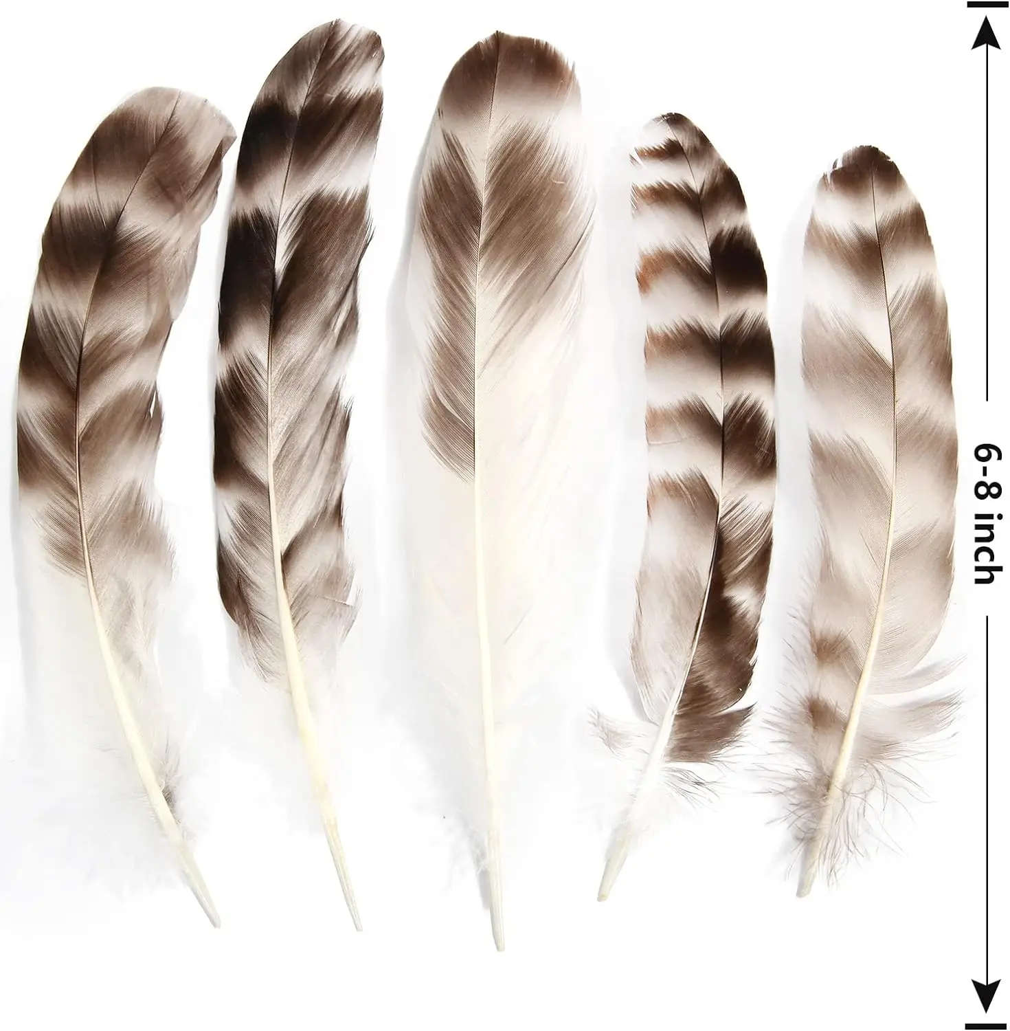 50pcs Chinchilla Feathers 6-8inch 15-20cm DIY Crafts Traditional Festival Party Clothing Decoration Reeded Chicken Feathers