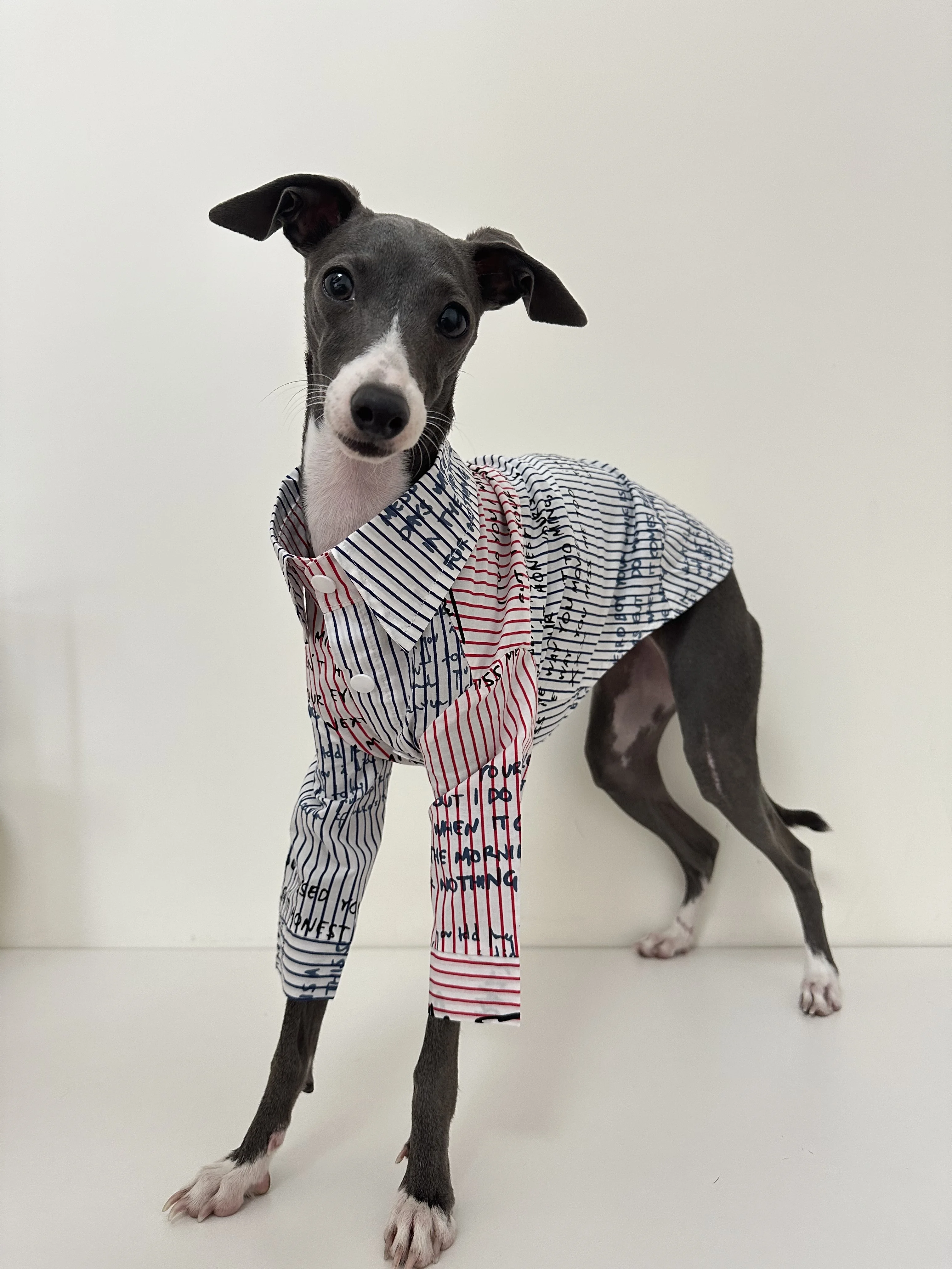 Greyhounds Clothes Spring Summer Breathable Dog Shirt Pure Cotton Whippets Clothes Italian Greyhounds Shirt Pet Supplies