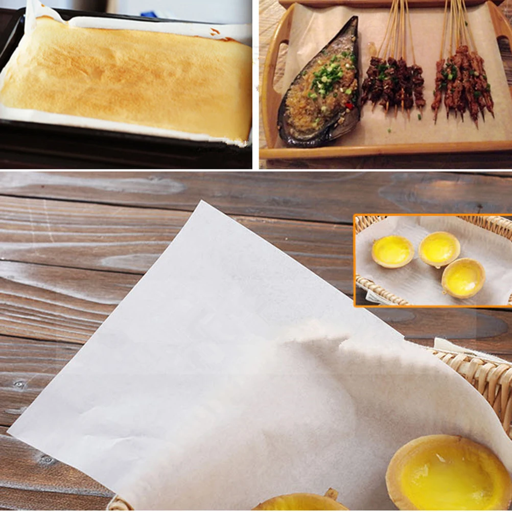 

500PCS Baking Mat Food Dehydrator Tray Liners Sheets Non Stick Baking Mat Food Dryer Sheet