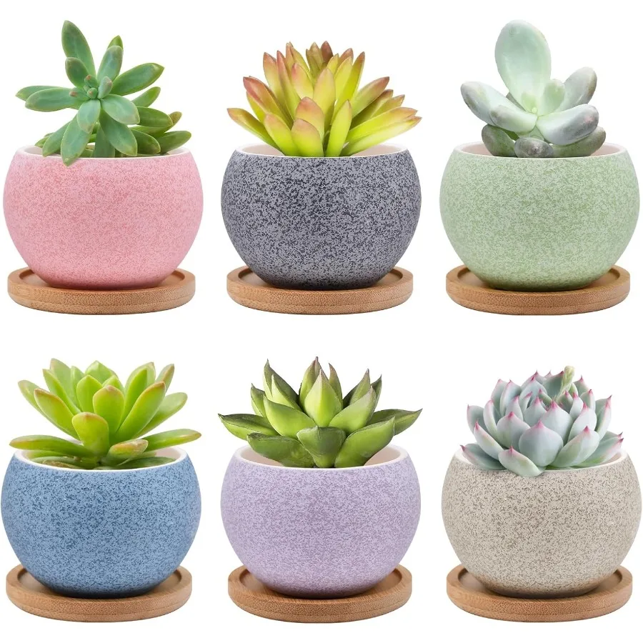 

6-упаковка керамических сочных горшков с дренажем. Маленькие круглые горшки для комнатных растений. Мини-горшочки для цветов кактусов с бамбуковыми подносами.