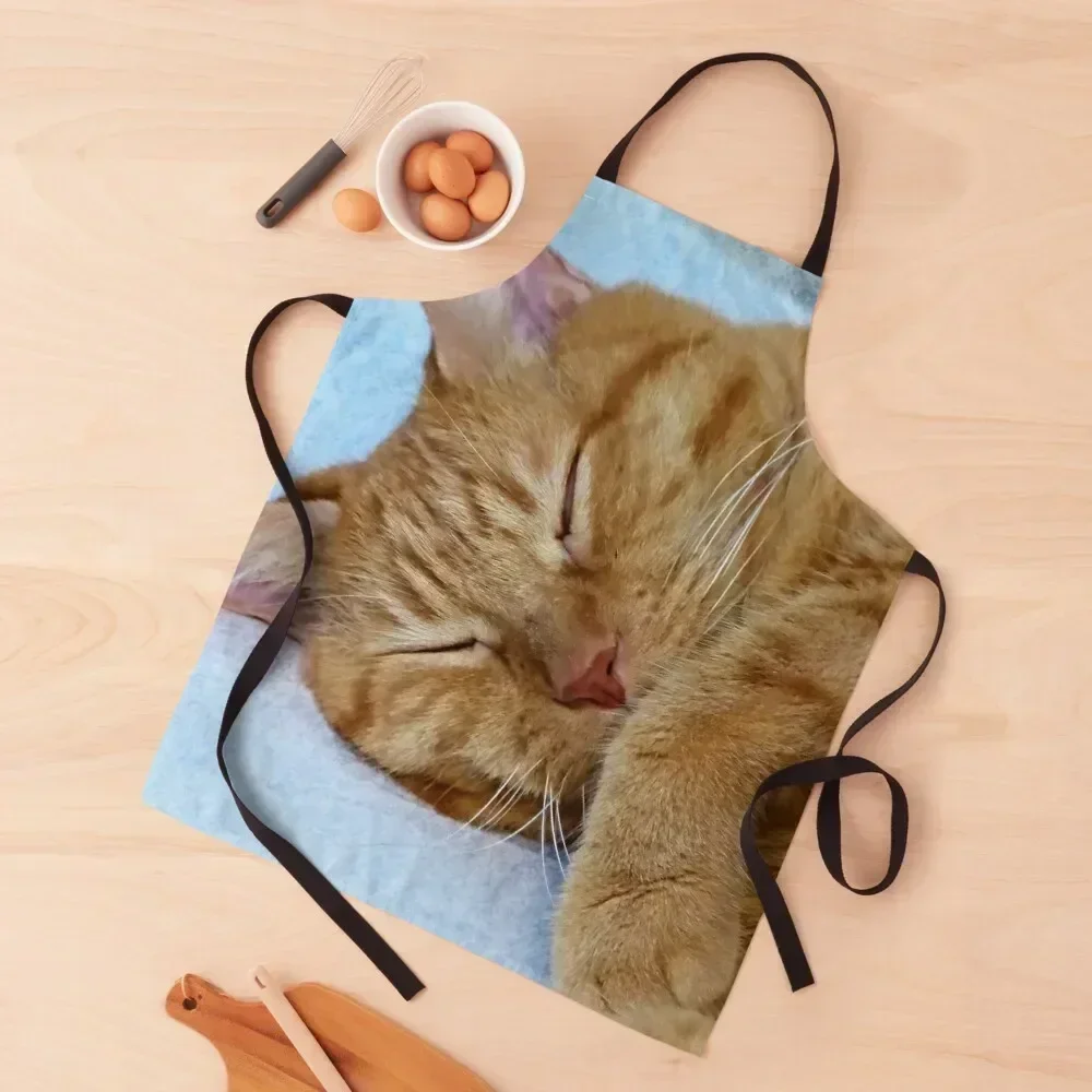 

Sleeping Cat Apron kitchen utensil kitchen clothes for men Apron