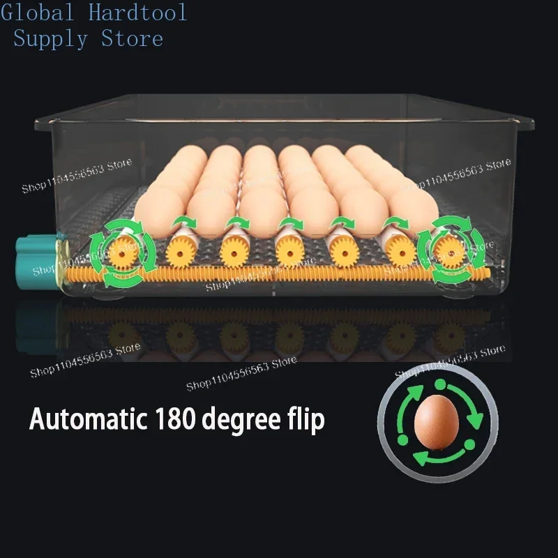16/36 Eggs Fully Automatic Incubator - Brooder with Turner for Chicken, Goose & Quail Eggs (Household/Farm Use) view 6