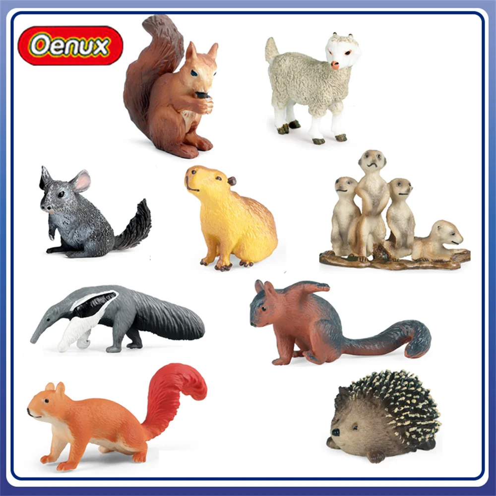 Figuras de Animales en Miniatura de Plástico Sólido Oenux: Ardilla, Anteatero, Chinchilla, Canguro de Árbol, Erizo, Angora, Capibara, Suricata, Decoración