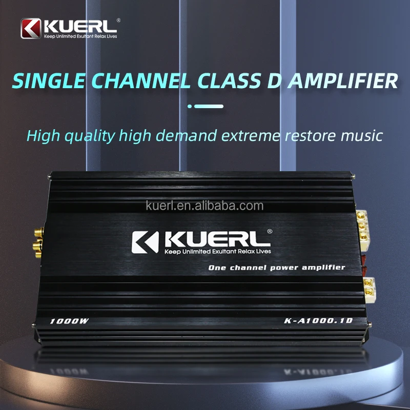 with RMS power 1000W@1Ω/ 600W@2Ω/ 400W@4Ω Aluminium Material High Power Class D Monoblock Digital 1-CH Car Audio Amplifier