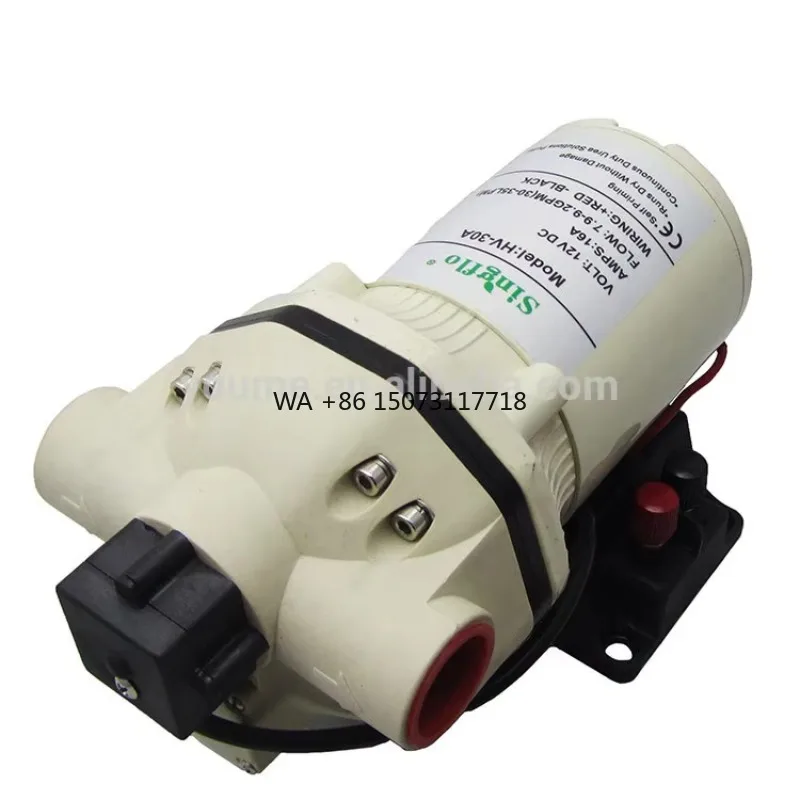 

High Quality 12v Dc High Flow Urea Pump Acid Transfer Pump for IBC System
