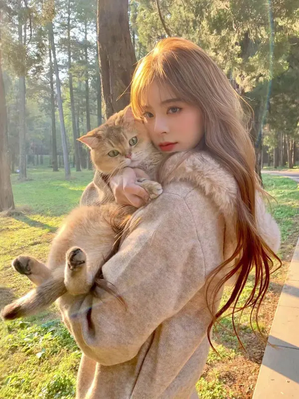 

Retro Lazy Sle Hoodie Women's Faionable Spring Aosphere Sensation Long Sve Knitted Sweater Comfortable Fit Zipper Cl...