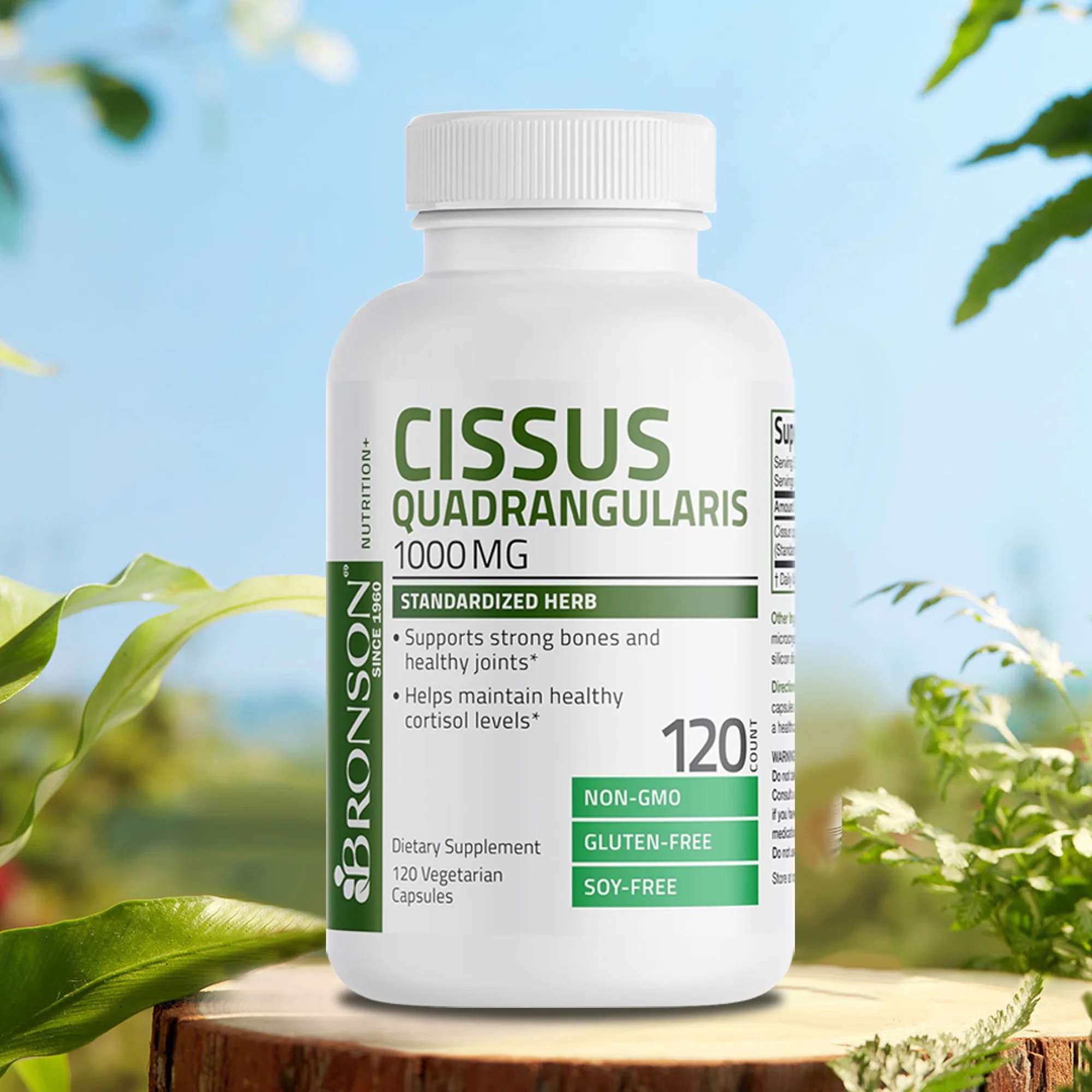 Cissus Quadrangularis 1000mg - Ayuda a Mantener los Niveles de Cortisol, Promueve la Salud Ósea, el Soporte Articular y Mejora la Movilidad