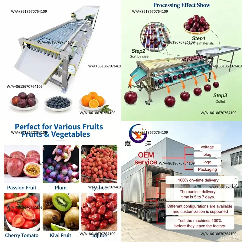 Fruit Weight Sorting Machine for Agricultural Industry Pineapple Durian Pear Banana Orange Sorting and Grading Machine