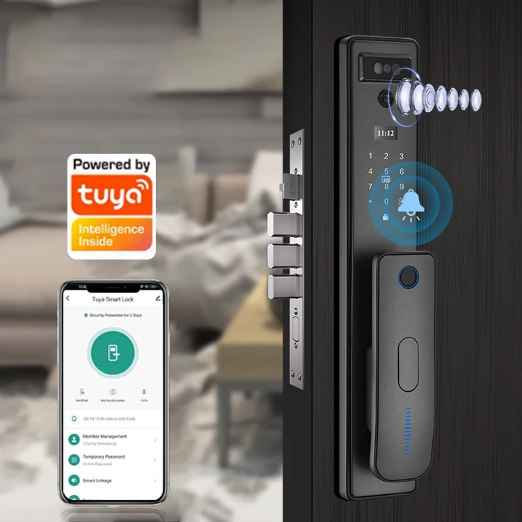 Wifi TTlock App Smart Biometric Lock Fingerprint Door Handle Digital Keyless Lock Face Recognition Smart Door Lock