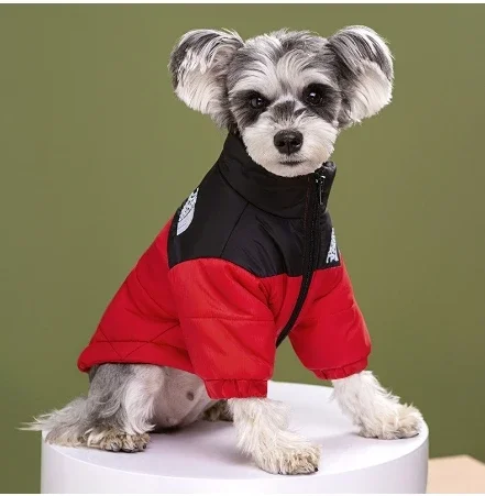 Spot Vestiti per animali domestici Marchio alla moda Ricamato Cane Autunno e inverno Vestiti di cotone Vestiti per animali Addensato Caldo Imbottiture Teddy Abbigliamento