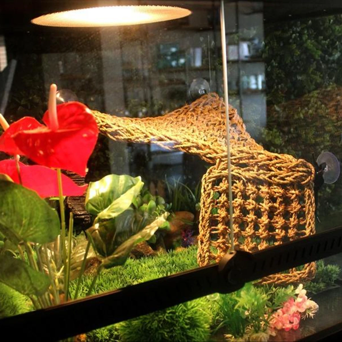 

Lizard Hammock Bed With Strong Suction Cup Mountable Reptile Sleep Shelter For Bearded Dragons Geckos Iguanas Pet Bunk