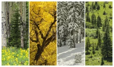 

Адаптер 12/14/17 мм для радиоуправляемой модели грузовика ARRMA Mojave 4S, шины W219 для моделей автомобилей масштаба 1/8, запчасти для модернизации моделей грузовиков Arrma HSP HPI