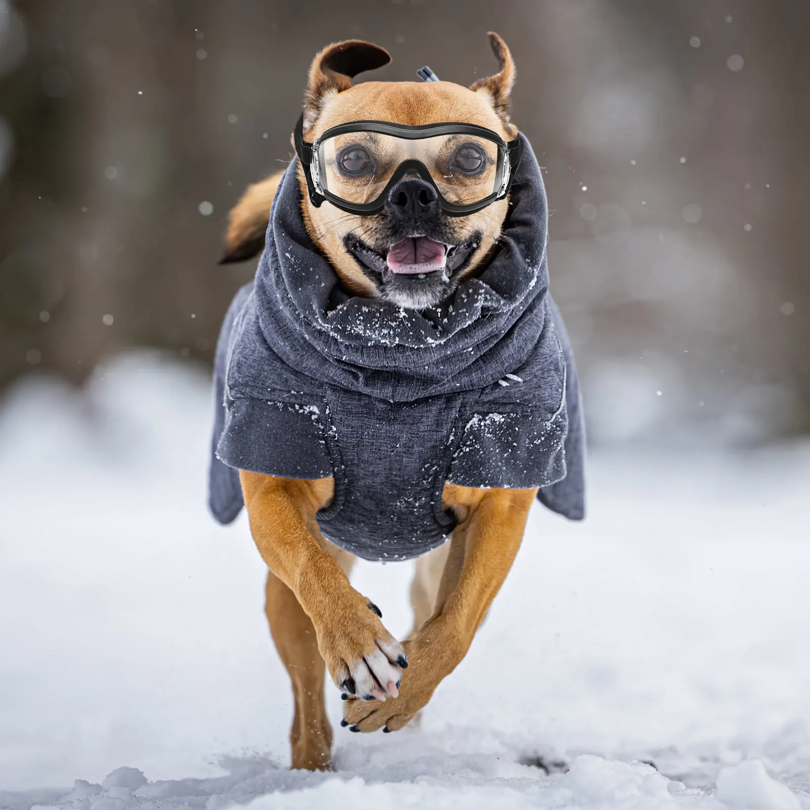 Pet Outdoor Goggles Transparent Windproof Eye Protective Glasses Anti-Uv Dog Puppy Eyewear Snow Wind Spray Proof Frame