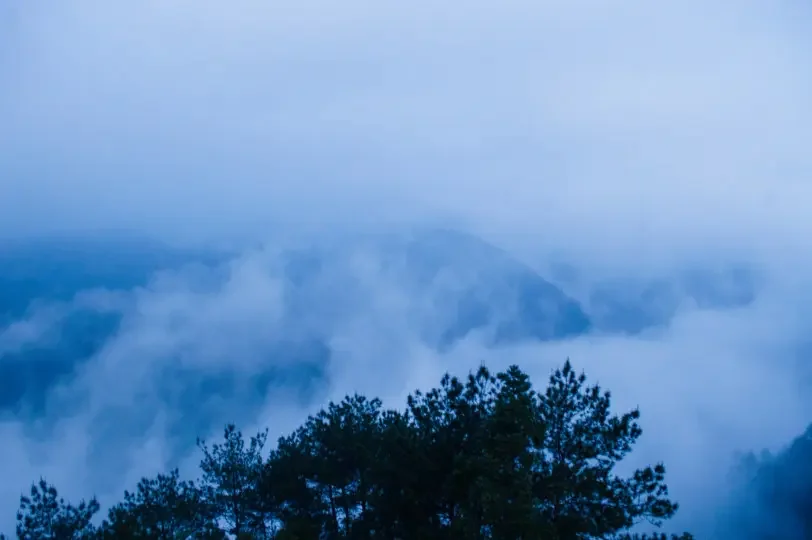 

7.2V 6800mAh High Capacity Ni-MH Rechargeable Battery with Tamiya Plug for RC Car Truck Boat Tank - RC Vehicle Battery