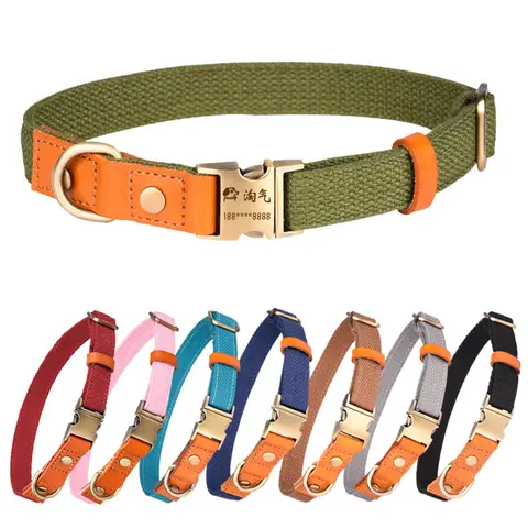 10 best sales Australisk nötkreaturshund - №10