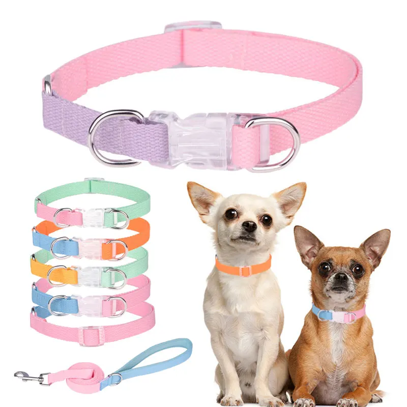 

Pet Dog Collar Leash Luxury Perros Collier Chien Cute Cat Necklace Safety Buckle for Small Medium Dogs Pug Macaron Drop Shipping