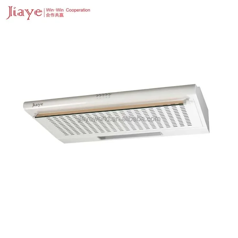 30-inch Professional Stainless Steel Wall Mounted Range Hood