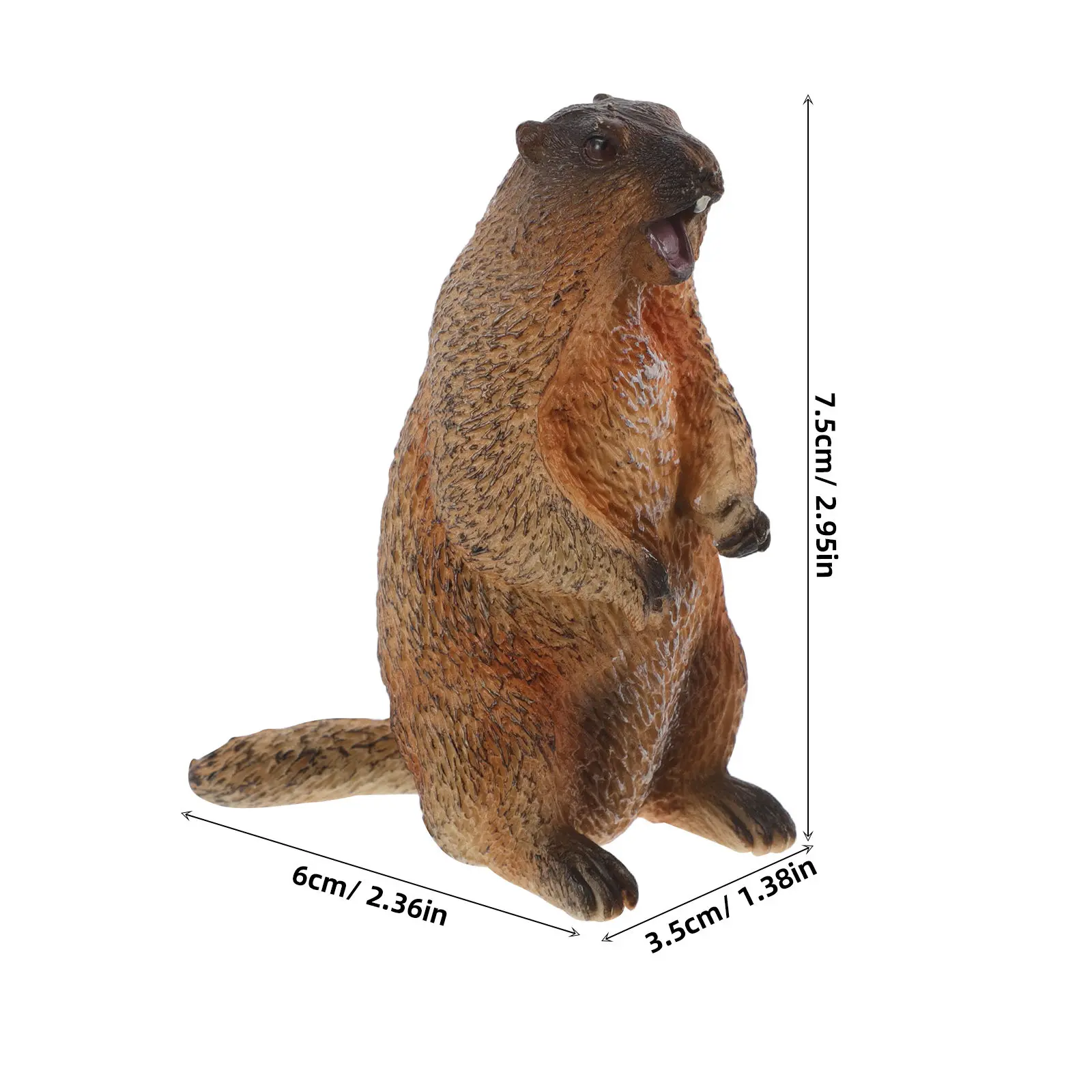 Standing Groundhog Simulated Wildlife Cognition Educational Desktop Decoration Realistic Animal Sculpture Small Toys for Kids