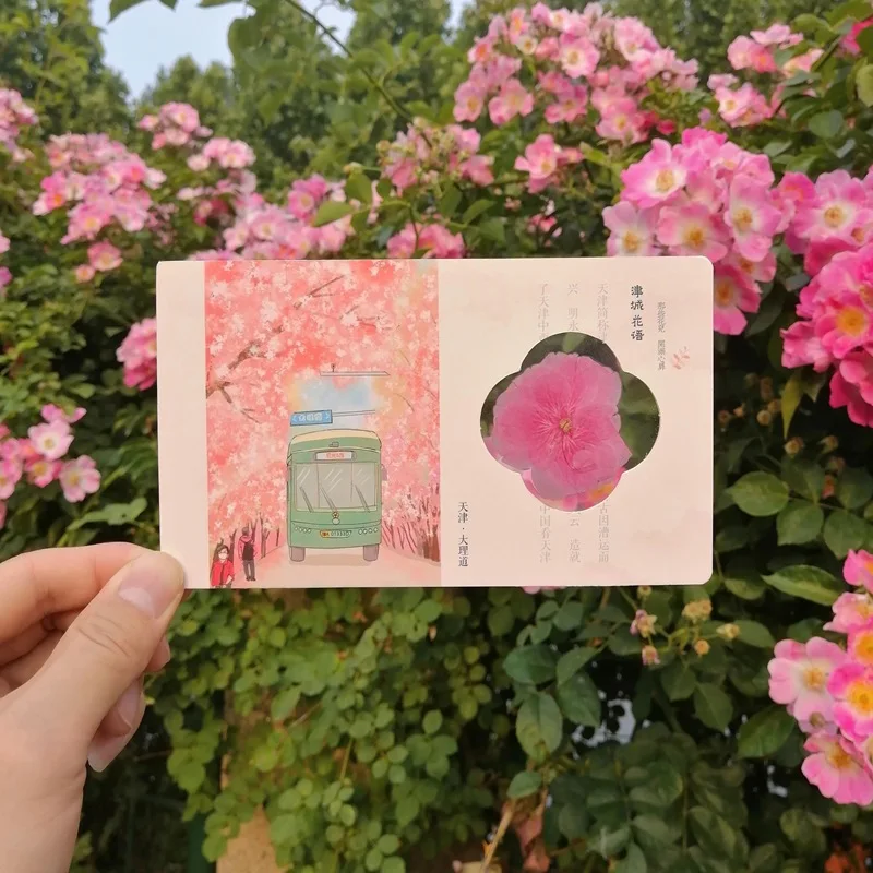 Customized. Dried Flower Reverse Film Postcard Draft Customized Tianjin Travel Companion Hand Begonia Specimen Bookmark Pet