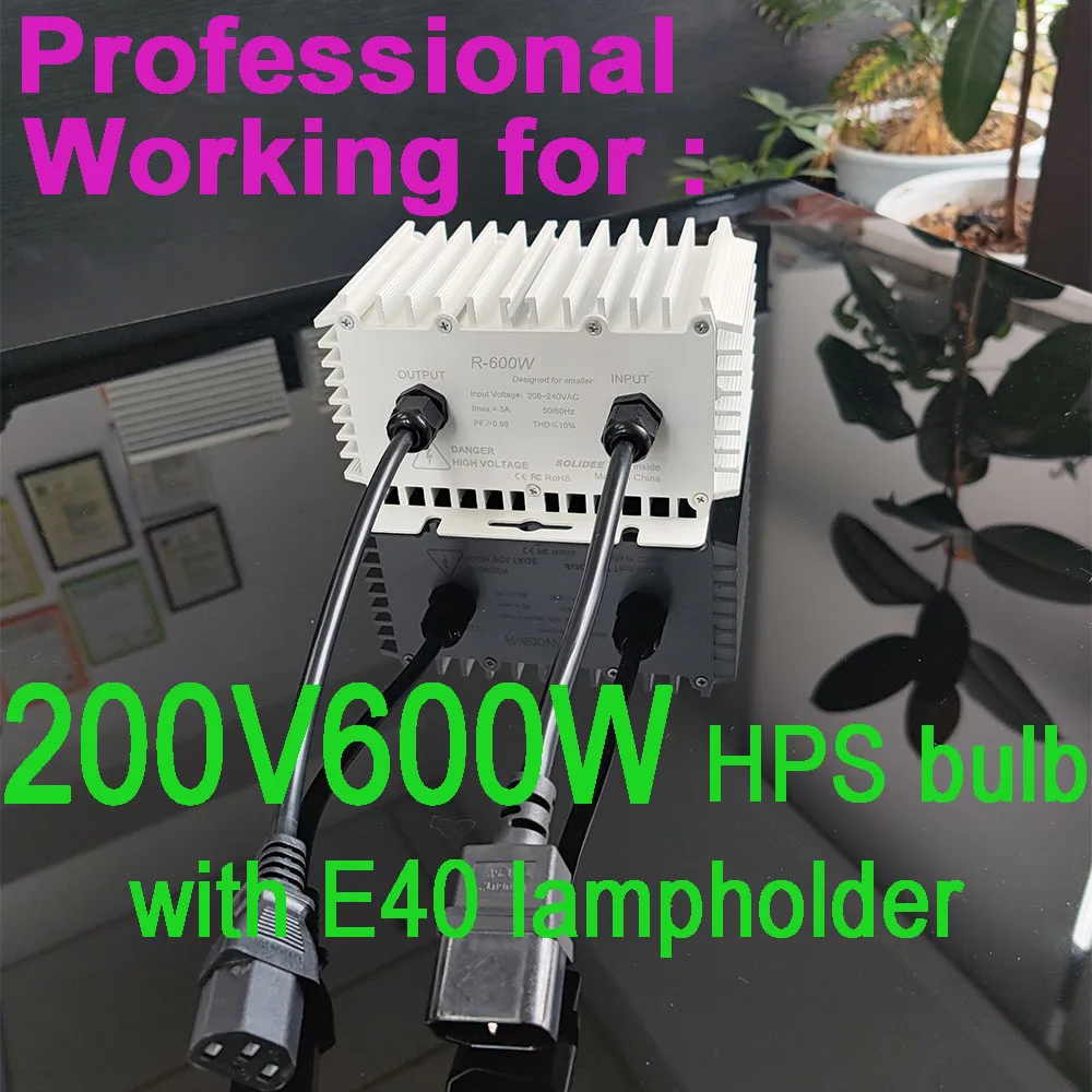 Solidee 600W Hps Mh-Ballast Voor Normale Hps Mh-Lampen En Lampen Van Verschillende Merken Zonder Invoerstekker