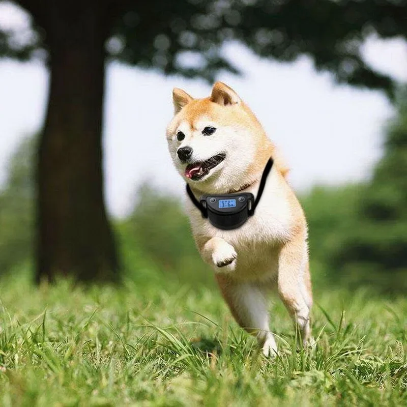 

No Collar Dog Training Humane Rechargeable Bark NF Barking Anti Vibration