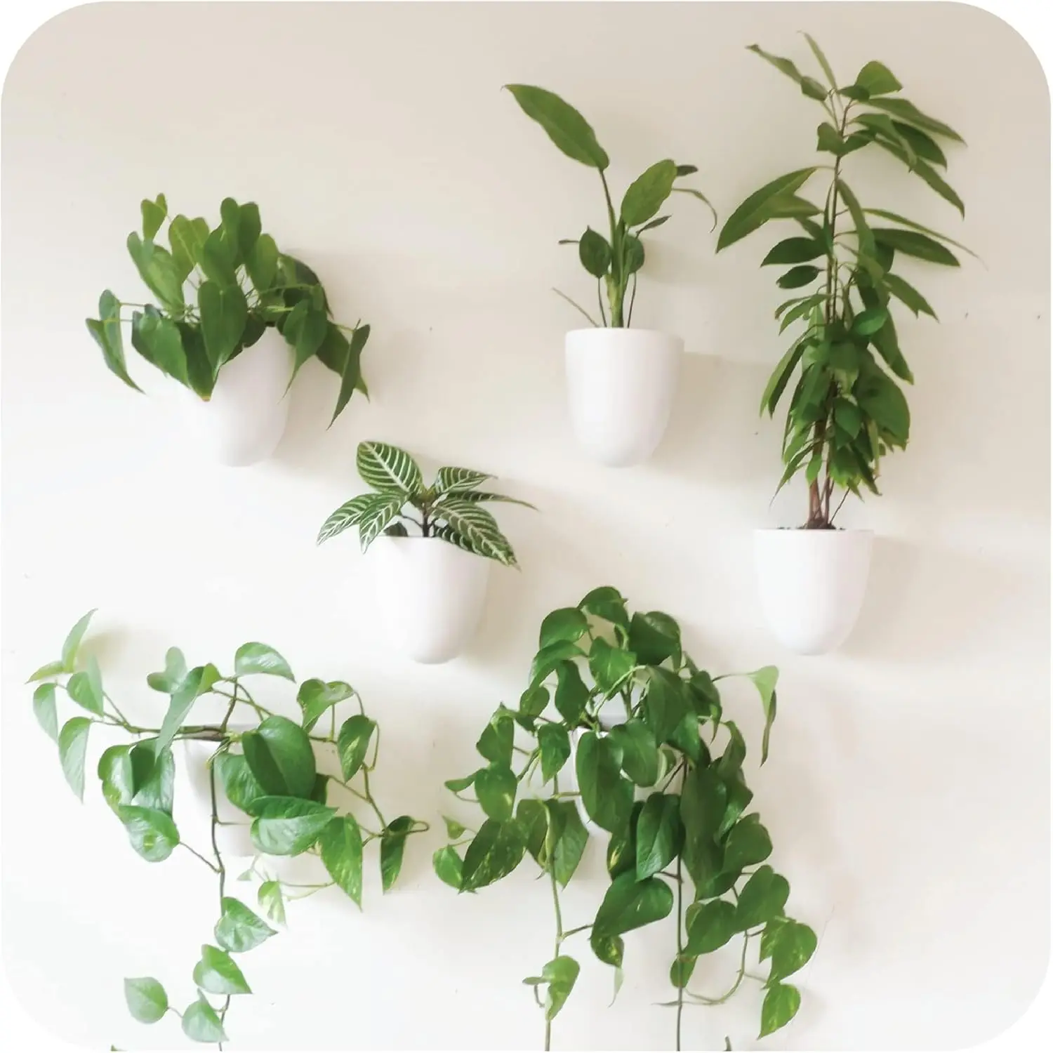 PlantPod Luxe - Self-Watering Wall Planters (Set of 6) - Easy to Water and Install - Lightweight - Design Your Own Verti