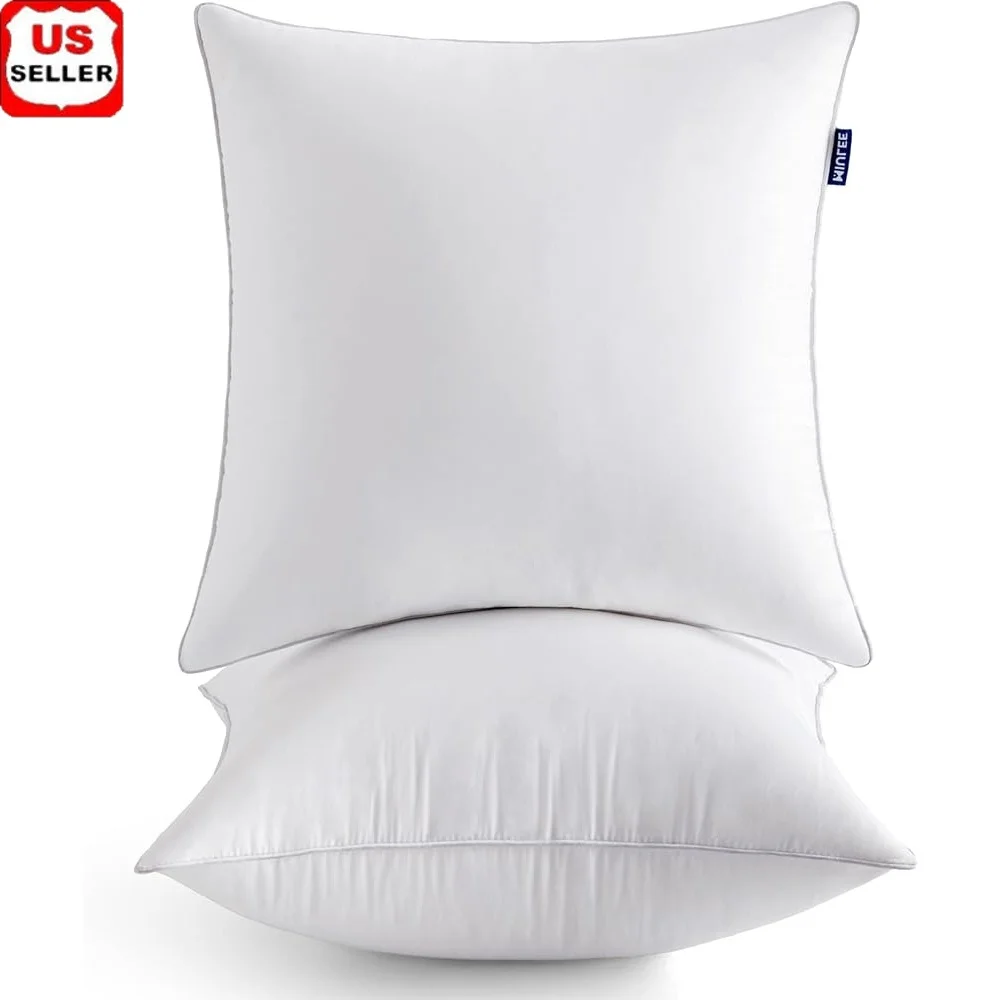

2 Pack 20x20 Pillow Inserts Soft Comfortable Polyester Filling Couch Sofa Decorative Throw Pillows