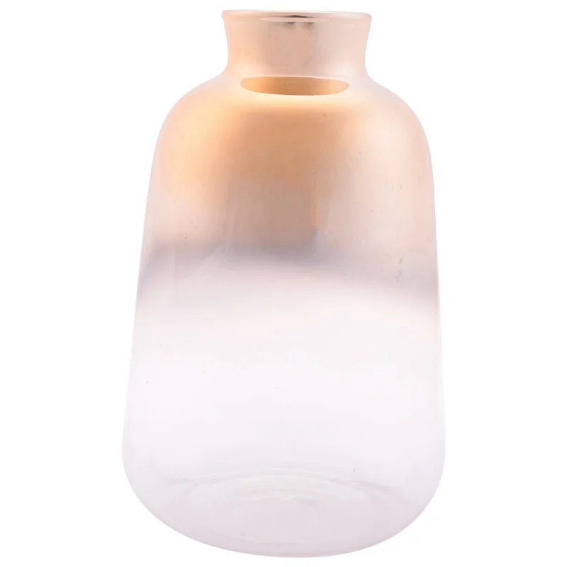 

5X стеклянная ваза, скандинавская гальваническая золотая ваза, стеклянные вазы для цветов для украшения бутылки с сушеными цветами (9X14 см)-B61B