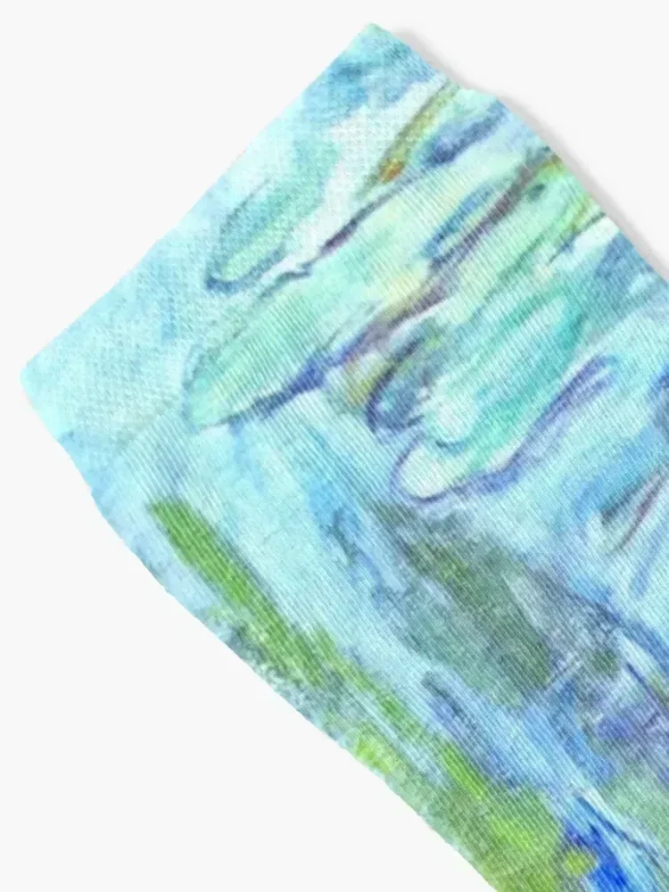 Water Lilies moneT Socks warm winter luxury funny gifts sports and leisure Socks For Girls Men's