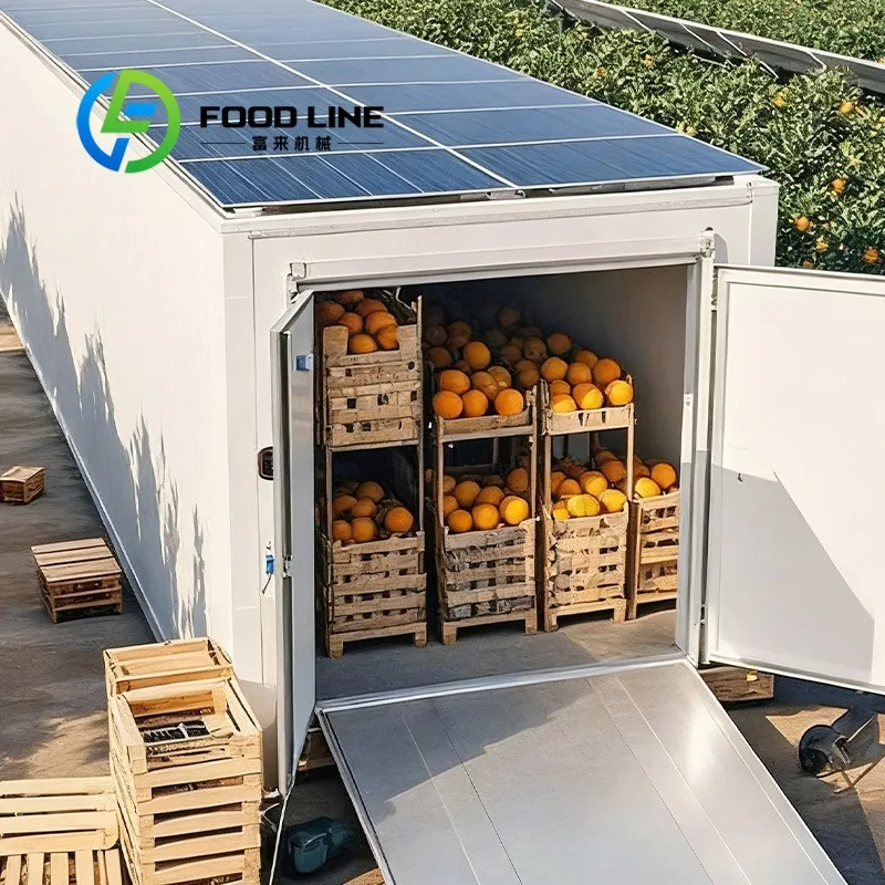 Industrial Solar Container Cold Room Zero Grid Consumption Avoids Spoilage Of Mass Raw Meat In Isolated Rural Livestock Process