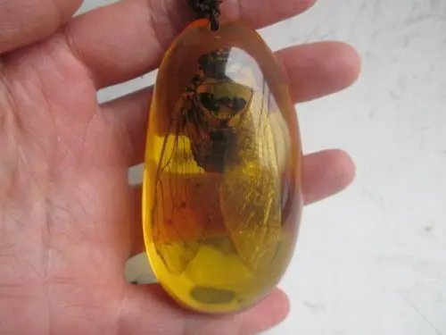 3.11 inch/Chinese natural amber cicada necklace pendant