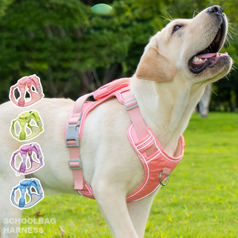 

Outdoor Adjustable Harness Leash Set Dog Walking Equipment for Medium Large-Sized Dogs Comfortable Harness Set Pet Supplies