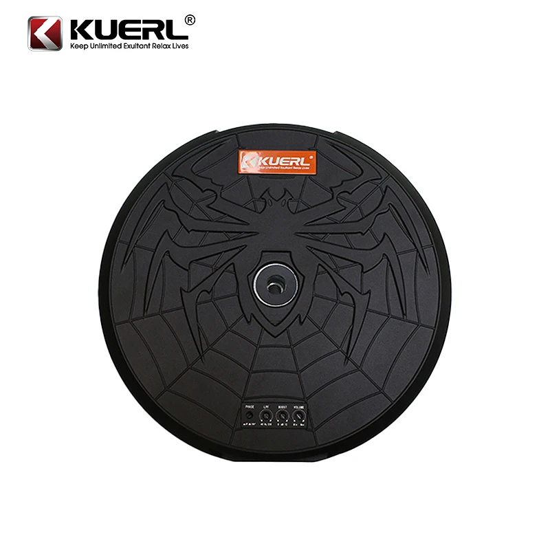 High Performance Spare Tire Subwoofer Powerful Bass 12 Inch Car Active Subwoofer