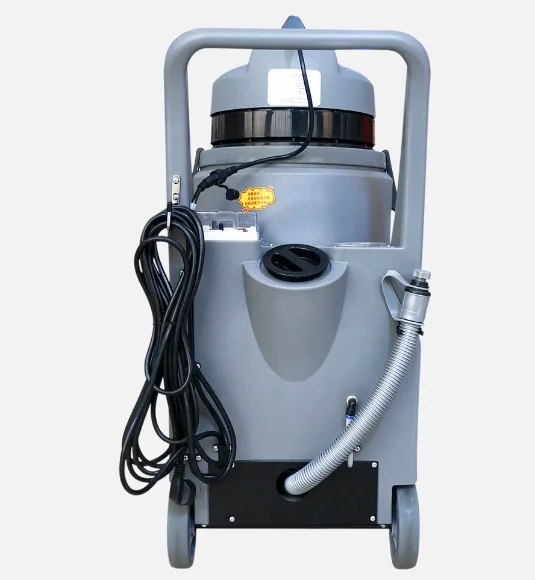 Category image: Carpet Cleaner