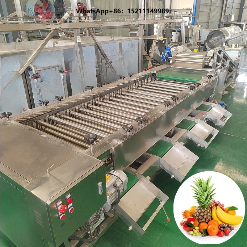 Onion Orange Blueberry Potato Avocado Date Vegetable Fruit Tomato Automatic Sorting Grading Machine Food Grade Stainless