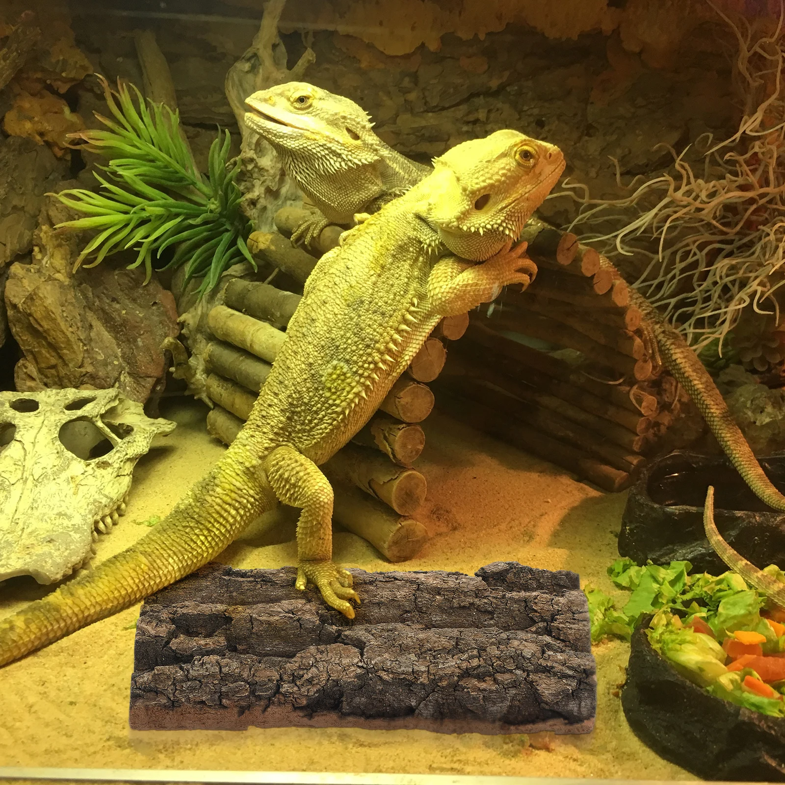 

3pcs Decorative Reptile Background Bark Aquarium Decor Natural Fish Accessories Reusable Barkbranch For Desktop Aquarium Reptile