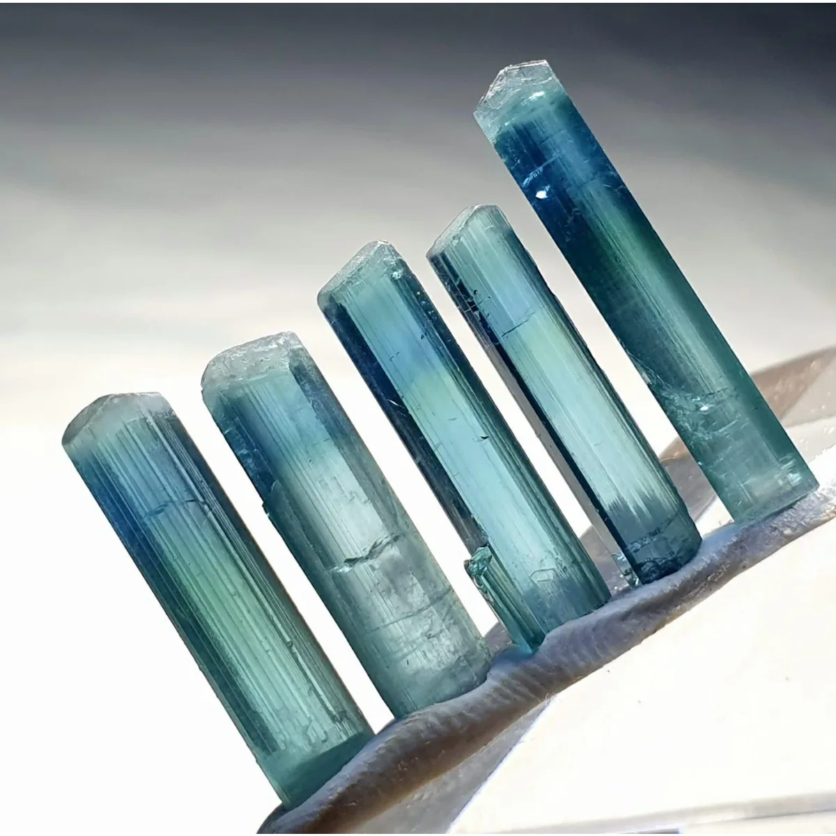Brazilian Elbaite Crystal Samples, 10g 5-15mm Multicolor Stones, Specimen Box for Home Office Display & Rock Specimens