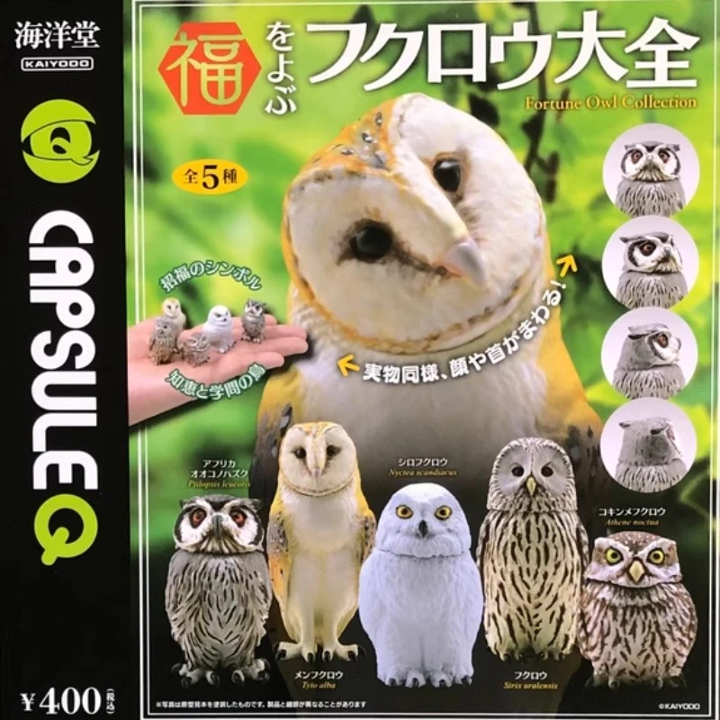 

Original Japan Gashapon Kawaii Anime Figure Simulation Animal Hooting Owl Head Mobility Cute Gachapon Figurine Capsule Toys Gift