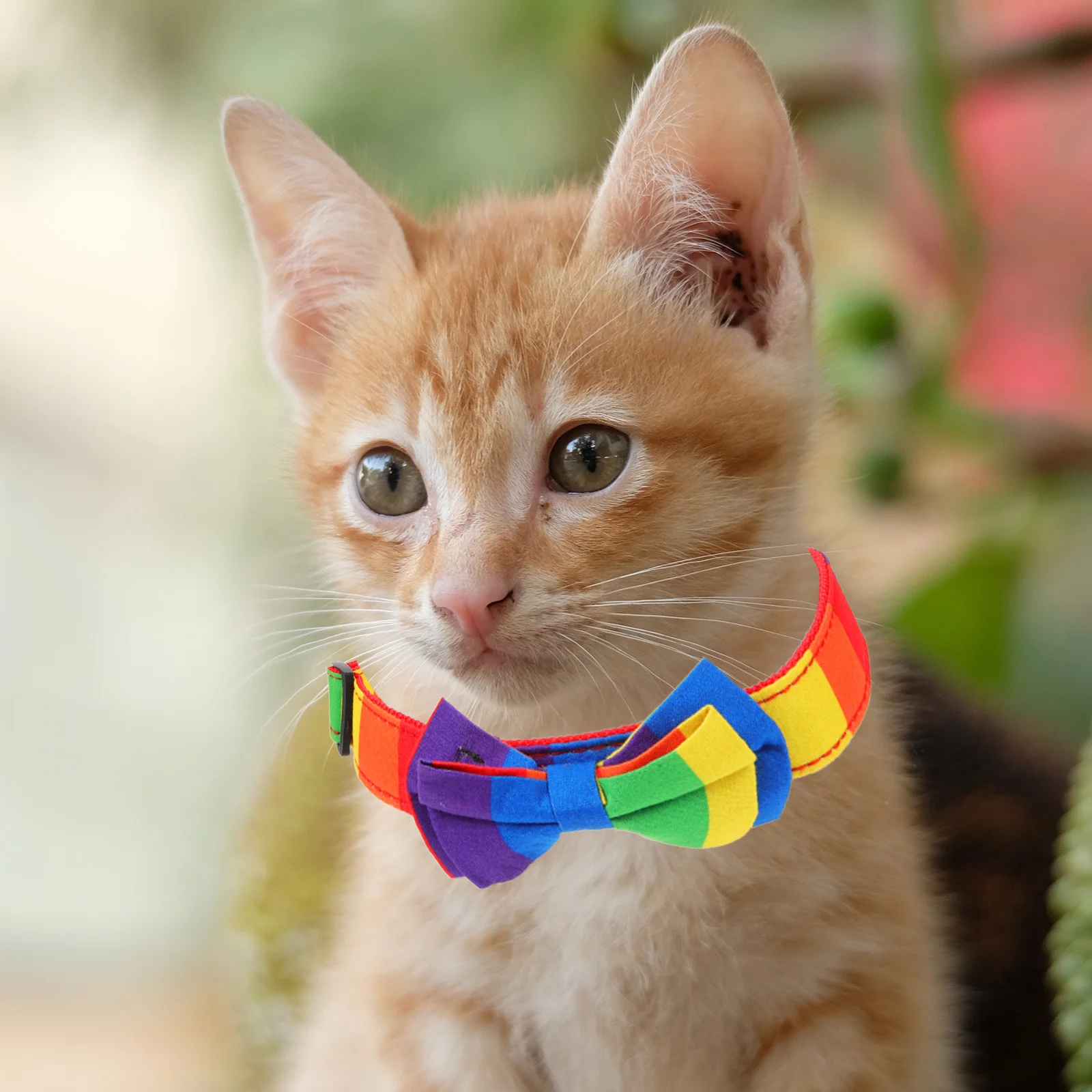 

Kitten Collars Pet Thick Dog Decorative Cat Adorn Rainbow For Dogs Outdoor Puppy Adjustable Cute