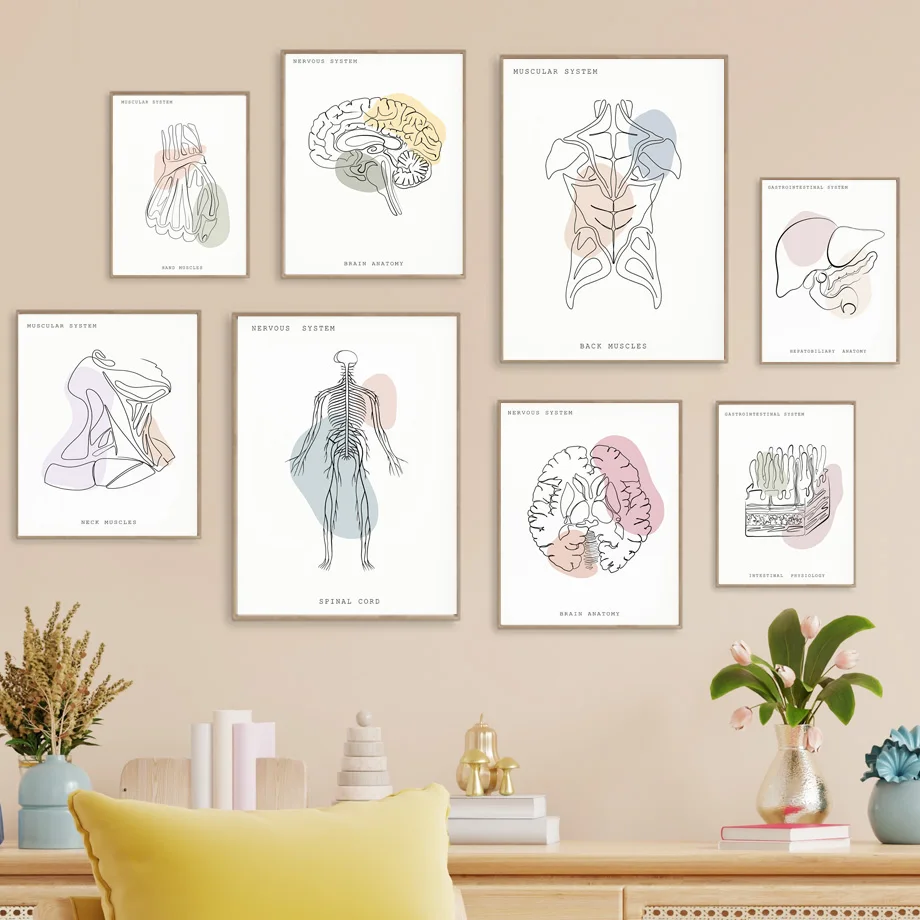 

Minimalist Colorful Anatomy Line Medical Poster And Print Mind Tooth Organ Wall Art Canvas Painting Aesthetics Room Clinic Decor