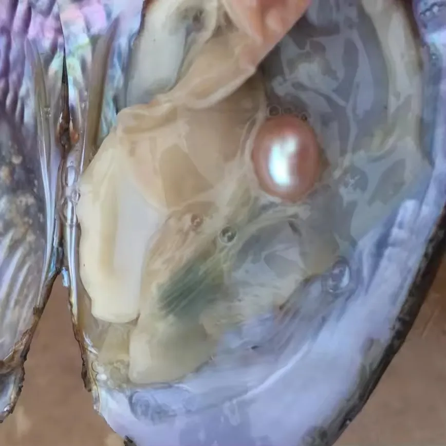 Charm Shell Pearl Box Pingente Coração Pingente Colar Pérola Natural Para Mulheres Moda Corrente Conjunto de Jias Presente Criat