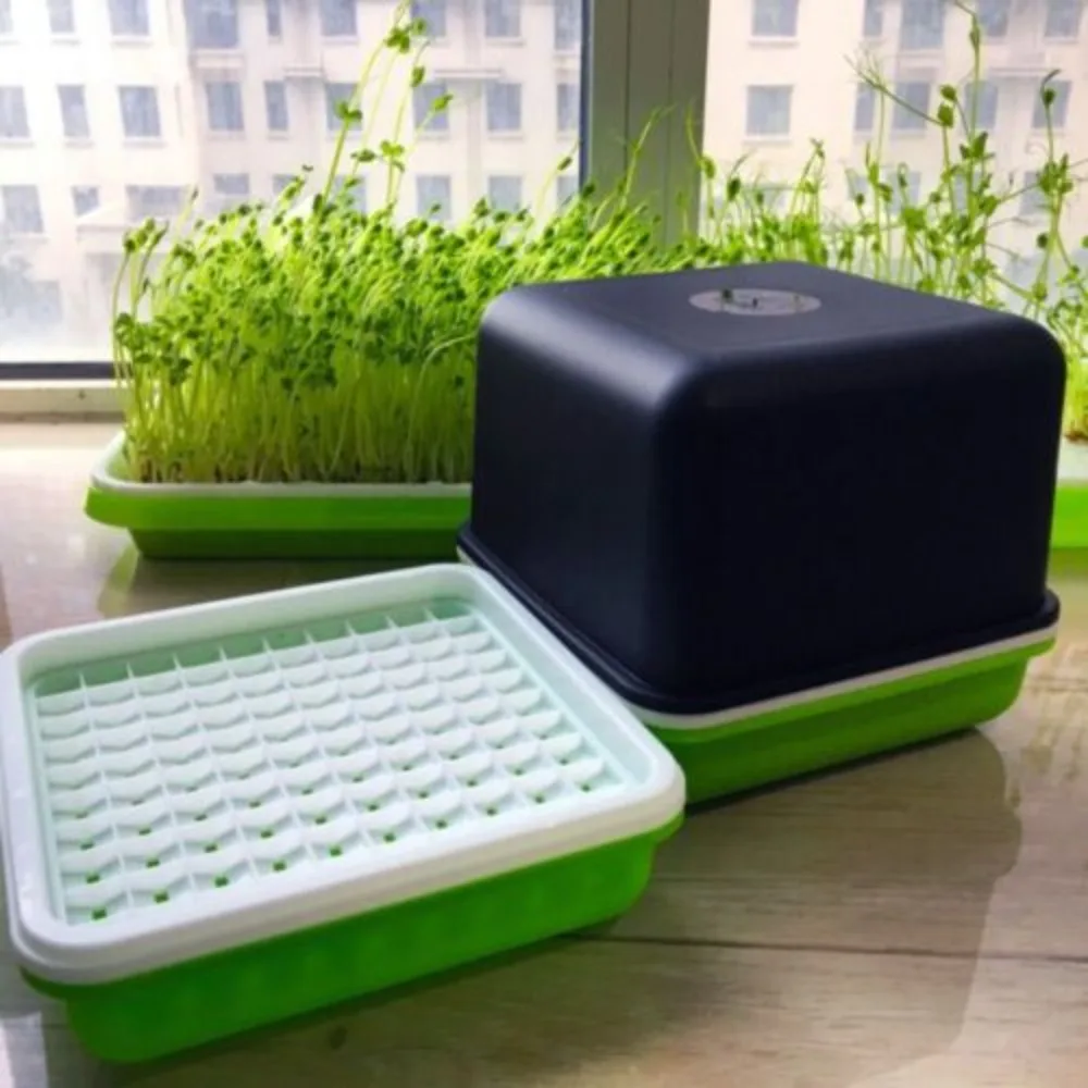 Plastic Hydroponic Sprout Planting Box Peanut Bean Sprout Pot Household Tray Seedling Sprouter Hydroponic Box Soilless Planting