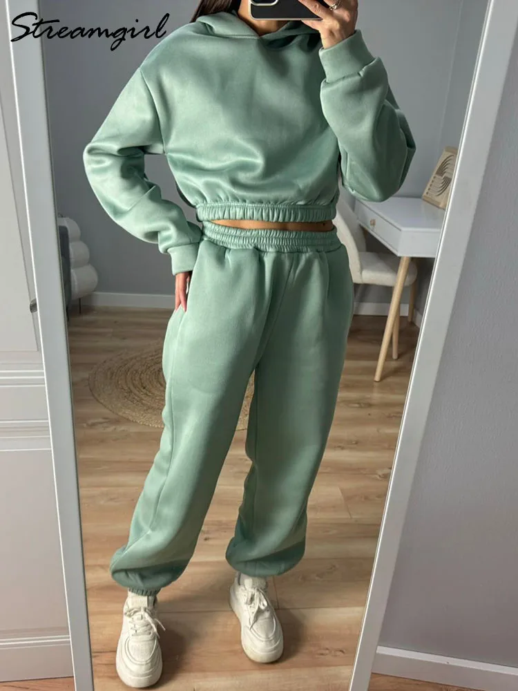 Winter Thick Fleece Pants Set Women Warm Suits Cropped Hoodie Sweatpant 2 Piece Set Outfit Velvet Track Suit For Women Winter