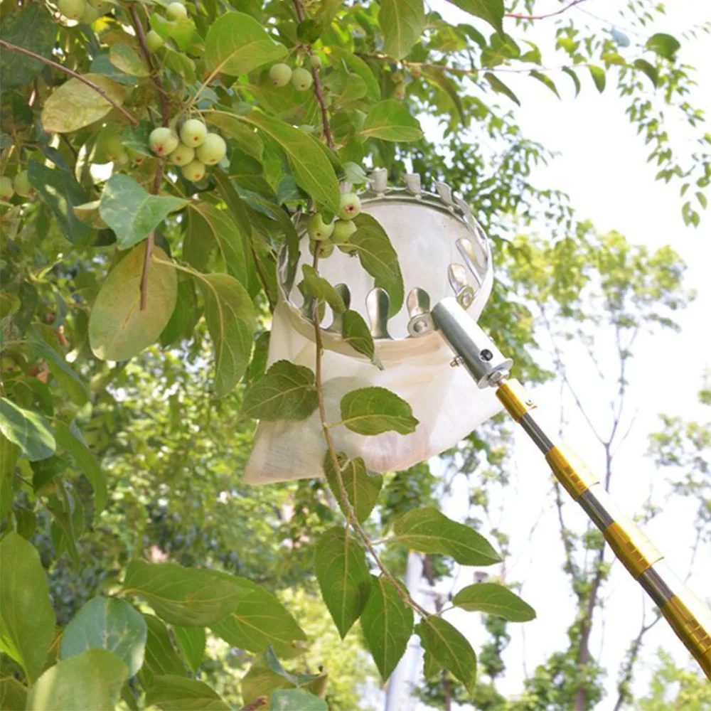 1,9/2,5/3/4/5/6 Meter Verfügbar, Obstpflücker, Hochhöhen-Obstpflück- und Sammelwerkzeug, Praktisch und Bequem, Speziell – Detail 4
