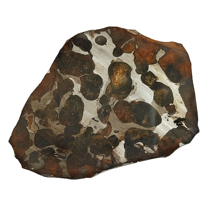 High Quality Olive Meteorite Slice Sericho Kenya Olive Meteorite Specimen Natural Meteorite Material Collection