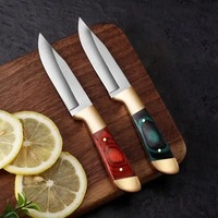 Sharp Fruit Knife, Outdoor Boning-Knife, EDC Portable pocket-Knife, Lamb Chop-Knife, BBQ knife, Survival-Knife, cutting-Knife