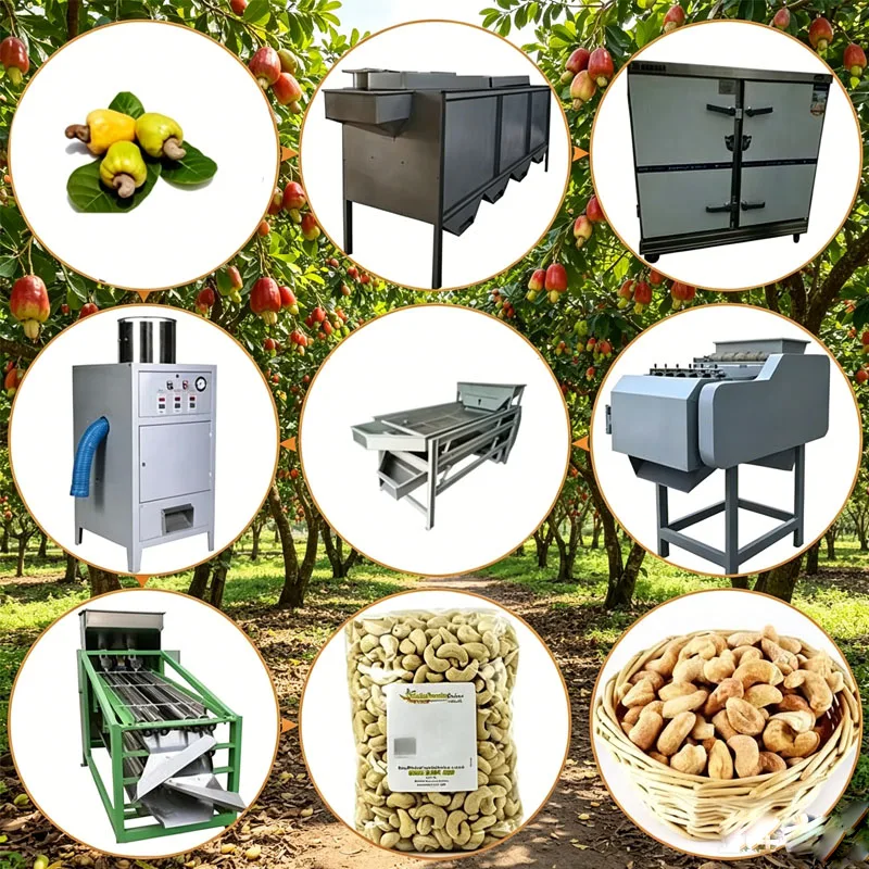 Small Cashew Production Line with Customized Shelling Peeling Oven and Air Compressor for Premium White Kernels Customized