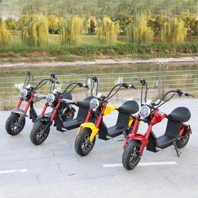 Cool 2000WHigh Power Motor 48V20AH Lithium Battery Adult Electric Motorcycle Off-road Commuting Hydraulic Disc Brake Comfortable