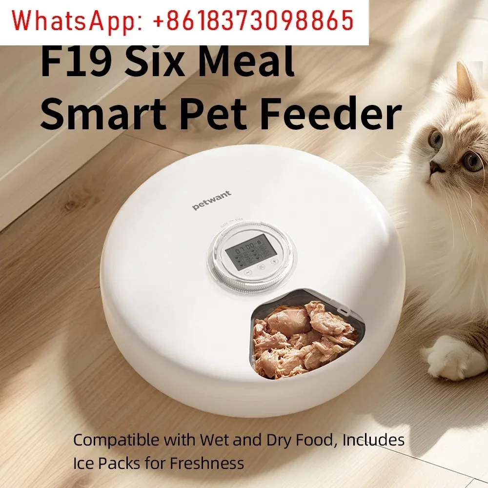 Six Meals Automatic Cat Feeder 1200ml Wet and Dry Food Pet Bowl Feeder Strap